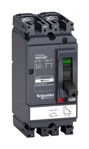 Силовой автомат Schneider Electric Compact NSX, 18кА, 2P, 160А